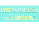 Logística Profesional de La Angelópolis