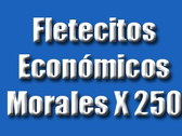 Fletecitos Económicos Morales X 250