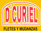 Logo Mudanzas D' Curiel