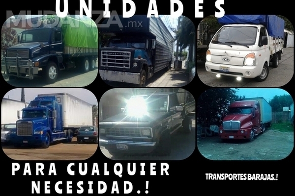 TRANSPORTES BARAJAS (servicio de fletes y mudanzas)