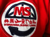 MS Internacional de Carga y Logística