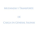 Mudanzas y Transporte de Carga en General Salinas