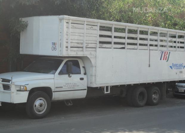 Ramirez Juárez Transporte