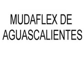 Mudaflex de Aguascalientes