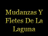 Mudanzas Y Fletes De La Laguna (JENYAL)