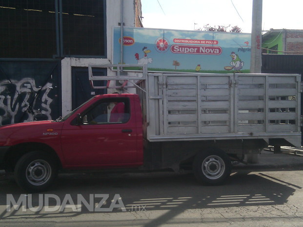 Fletes y Mudanzas Pequeñas Torres 