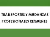 Transportes Y Mudanzas Profesionales Requenes