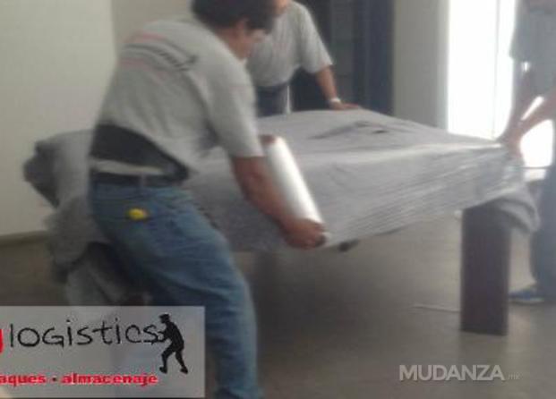 Mudanzas Moving Logistics