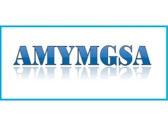 Amymgsa