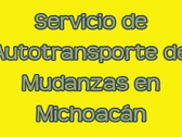 Servicio De Autotransporte De Mudanzas En Michoacán
