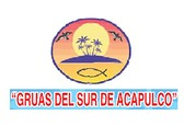 Grúas del Sur Acapulco