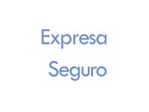 Expresa Seguro