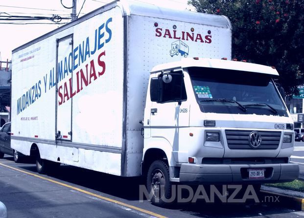 Mudanzas, Empaques y Almacenajes Salinas...Unidad 1