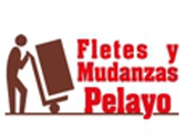 Fletes Y Mudanzas Pelayo