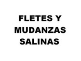 Fletes y Mudanzas Salinas