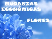 Mudanzas Económicas Flores