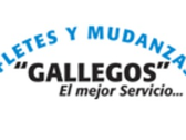 Fletes Y Mudanzas Gallegos