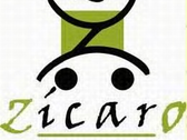 Zicaro Transportes