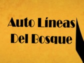 Auto Líneas Del Bosque