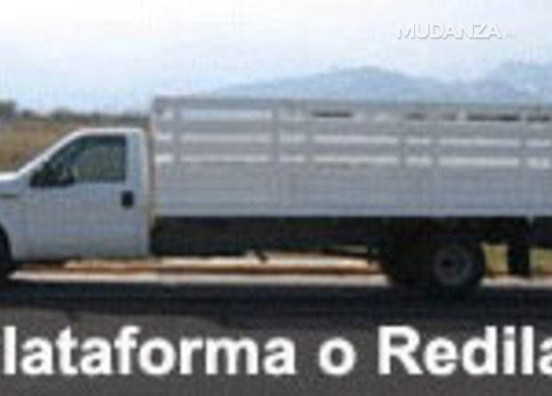 Rino Transportes