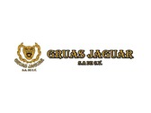 Grúas Jaguar