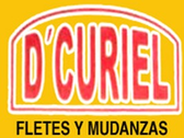 Mudanzas D' Curiel