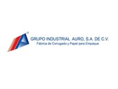 Grupo Industrial Auro, S.A. DE C.V.