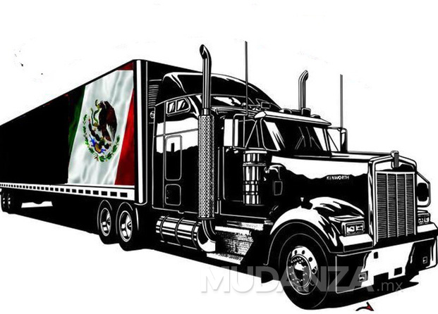 Servicio De Maniobristas México