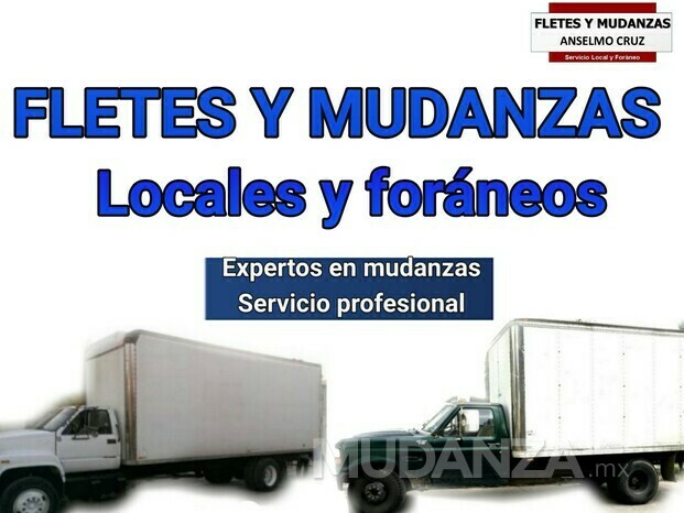 Servicio de fletes y mudanzas