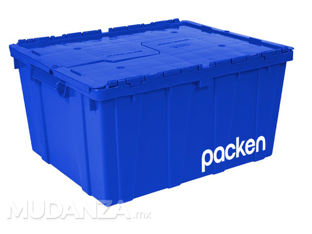 Caja Jumbo 60 x 50 x 32 cm