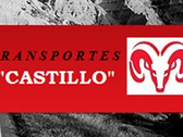 Transportes Y Mudanzas Castillo