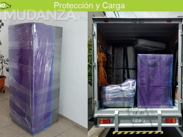 proteccion.jpg