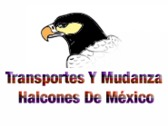 Transportes Y Mudanza Halcones De México