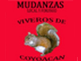 Mudanzas Viveros De Coyoacán