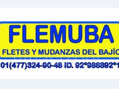 Fletes Y Mudanzas Del Bajío Flemuba